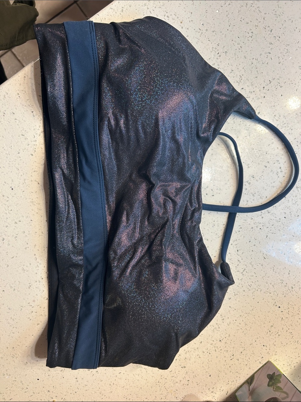 ZYIA Shimmery Navy Blue Sports Bra